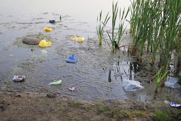 Pollution from plastic garbage floating in shallow water next to aquatic plants.
